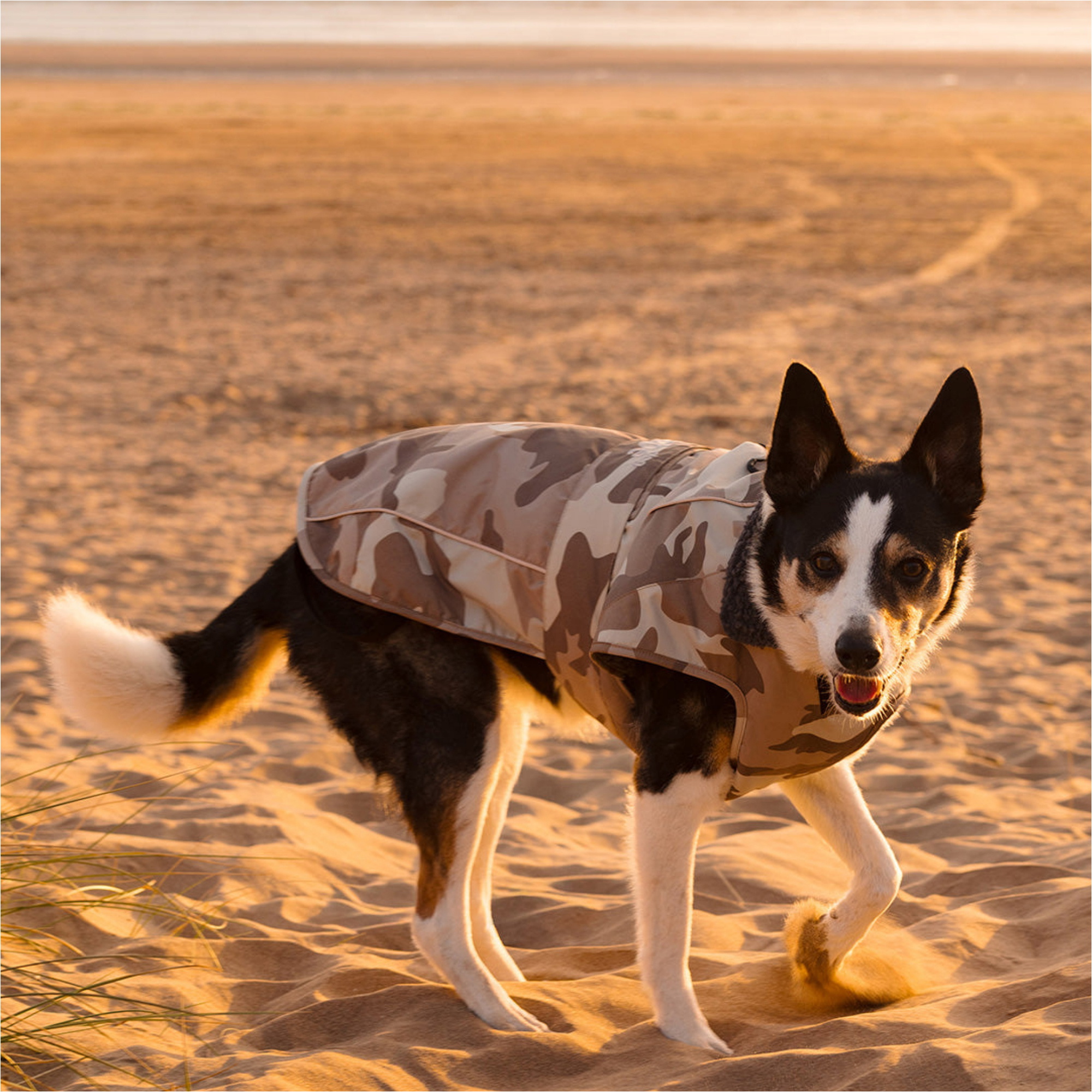 2026 Dryrobe Dog Coat V3DRDC - Sand Camo